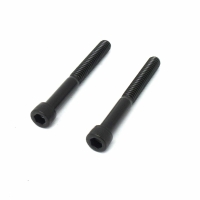 Screw, SHC, 10-24 x 1 (set of 2)